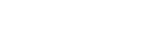 Synergy TA
